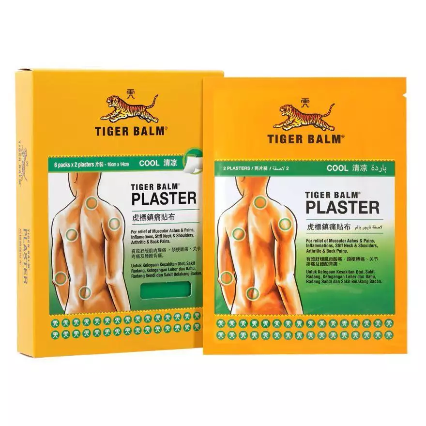 TIGER BALM Plaster (Cool) Large 2's (*MAL Item)